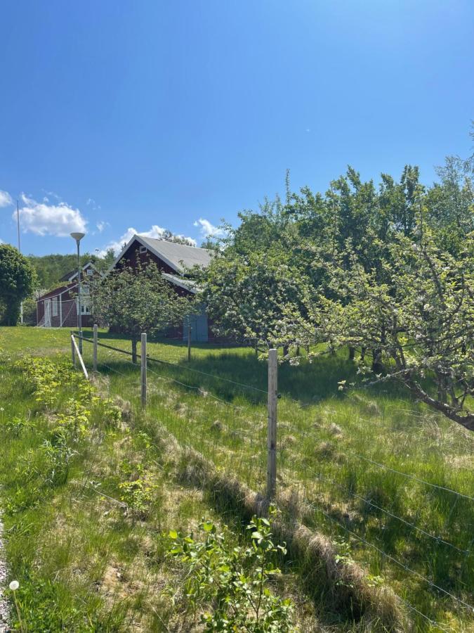 Lyckan - Minihus I Lantlig Miljoe Ulricehamn Εξωτερικό φωτογραφία